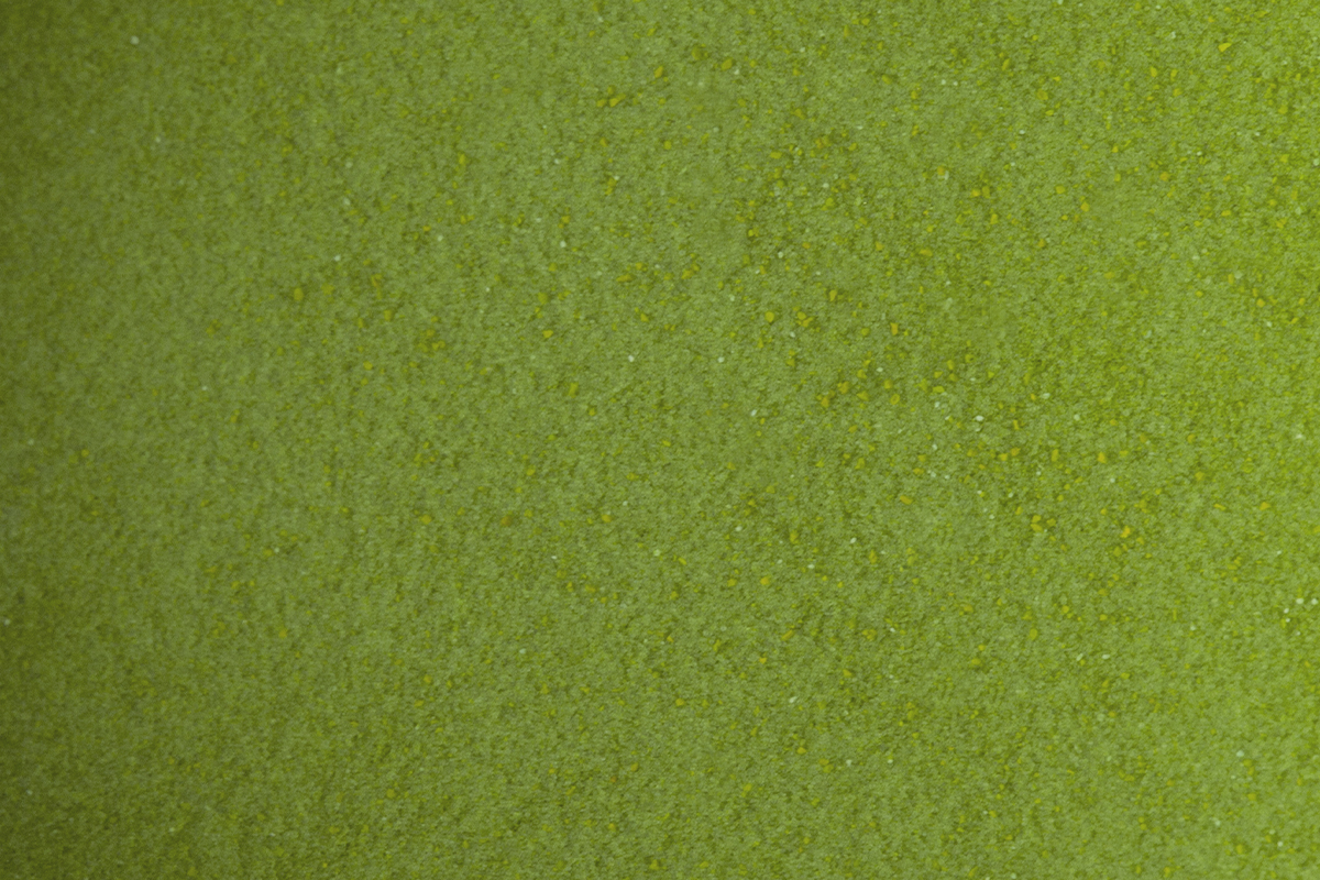 Jolifin Acryl Farbpulver - green 5g