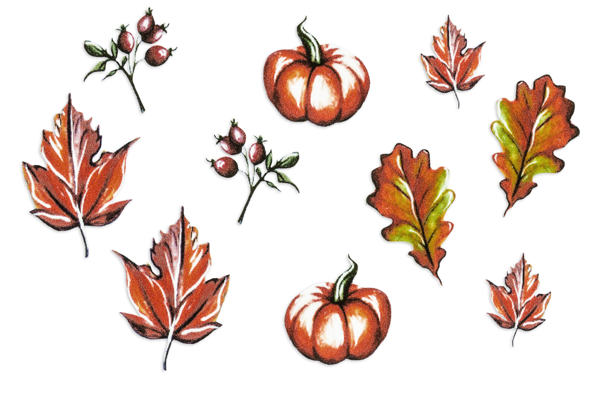 Jolifin Trend Tattoo - Herbst 2