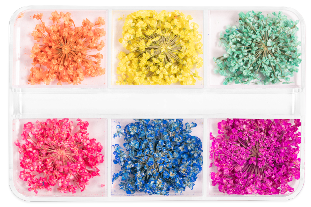Jolifin Nail Art Display - Dried Flowers Neon Mix