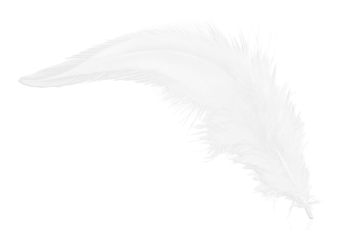 Jolifin Nail Art Feather pure-white