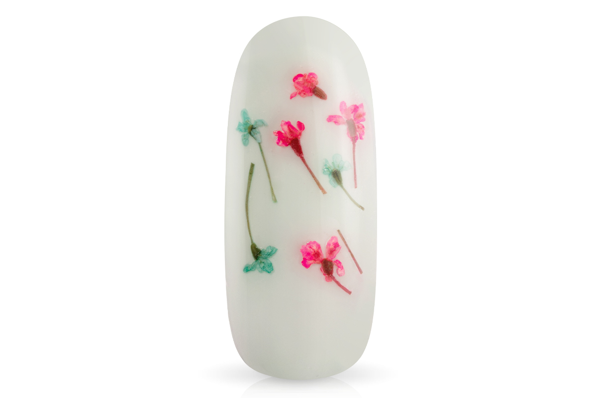 Jolifin Nail Art Display - Dried Flowers Neon Mix