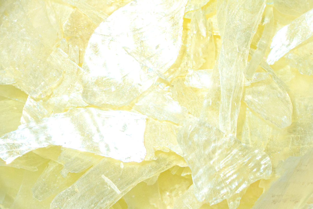 Jolifin Mother of Pearl Nail Art - pastel-yellows seashell