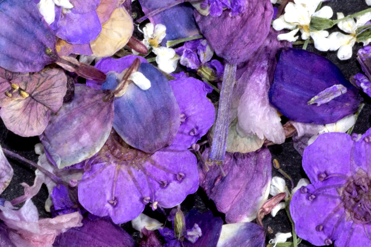 Jolifin Dried Flowers - Mini flowers violet mix