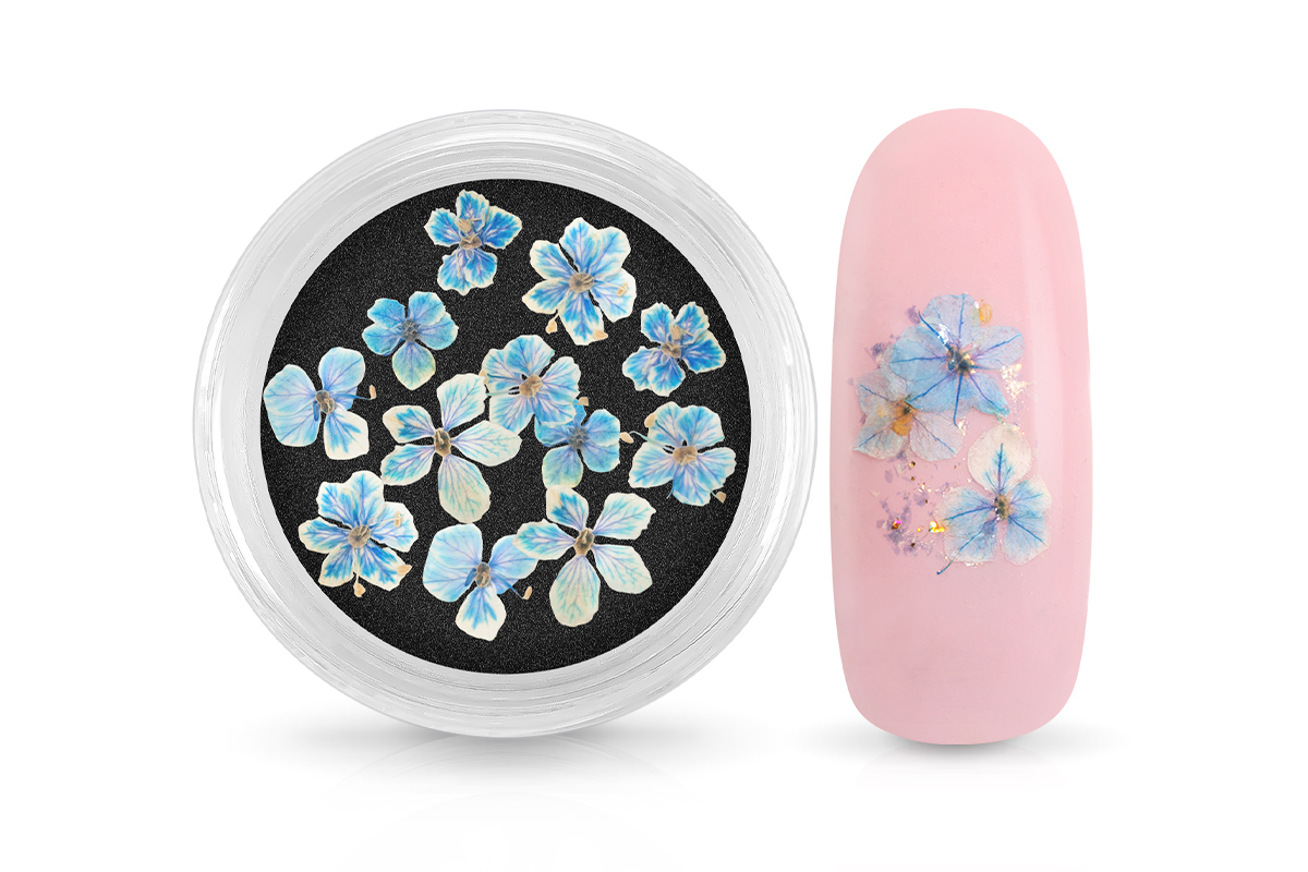 Jolifin Dried Flowers - small flowers blue