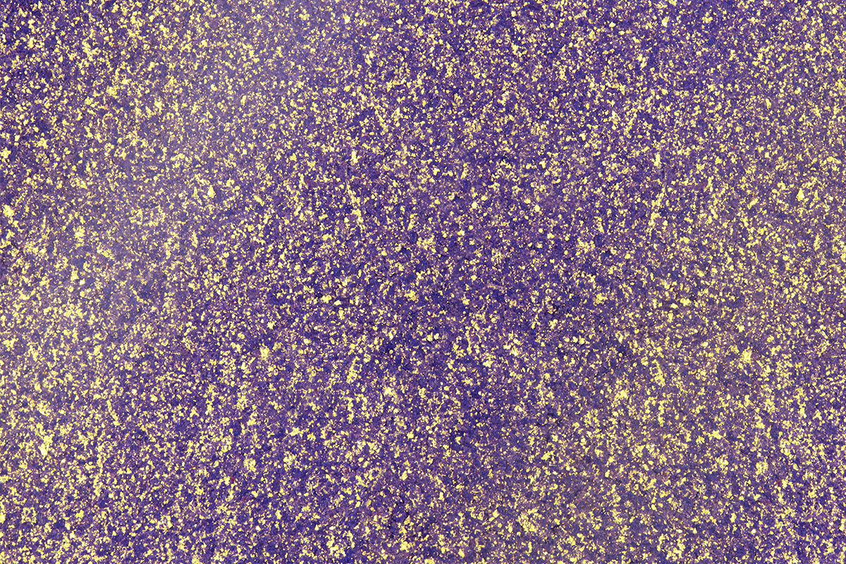 Jolifin crystal dust purple