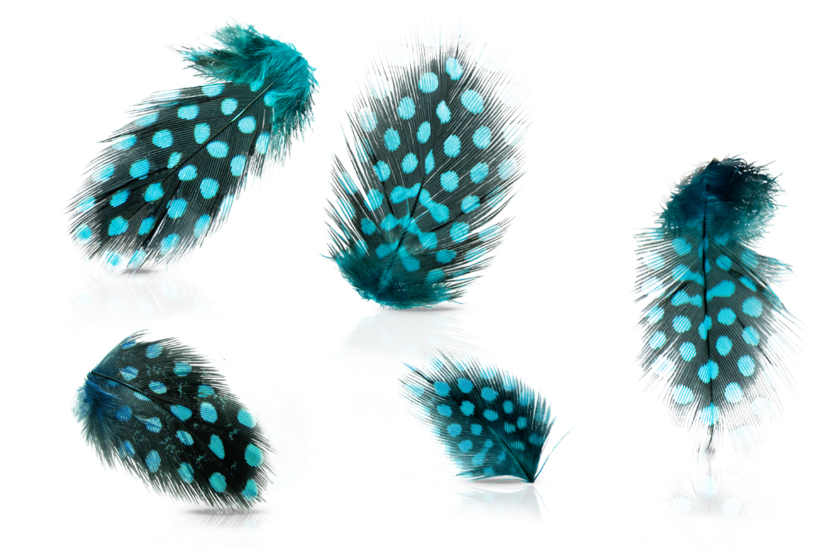 Jolifin Nail Art Feather blue leopard