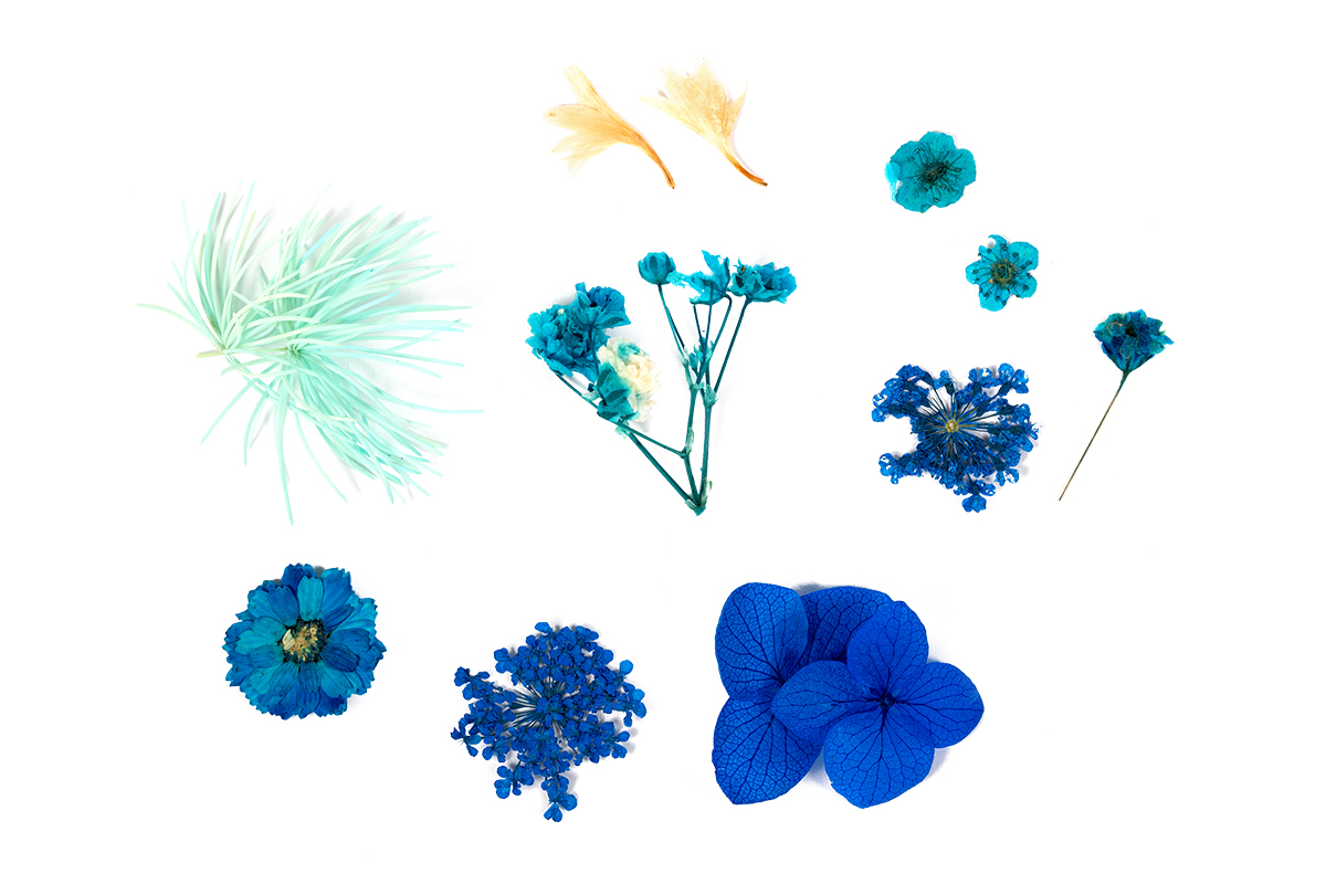 Jolifin Dried Flowers Mix - blue