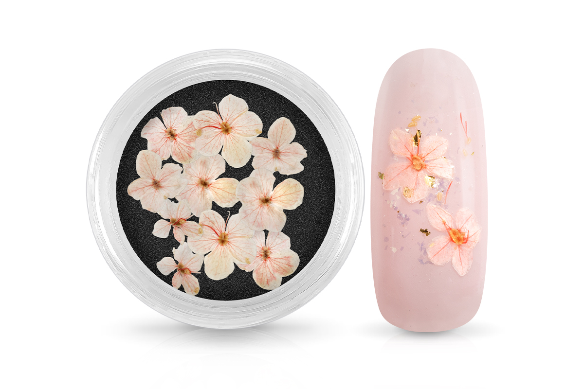 Jolifin Dried Flowers - small flowers pink