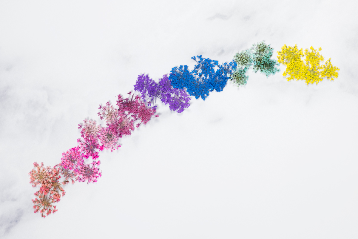 Jolifin Dried Flowers - Mini flowers blue