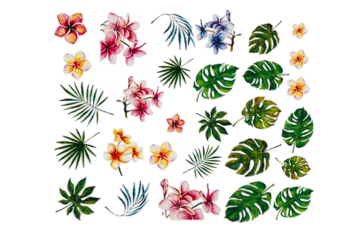 Jolifin Tropical Tattoo No. 23