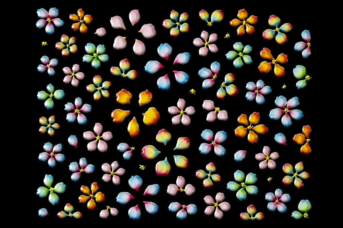 Jolifin LAVENI 3D Sticker 1