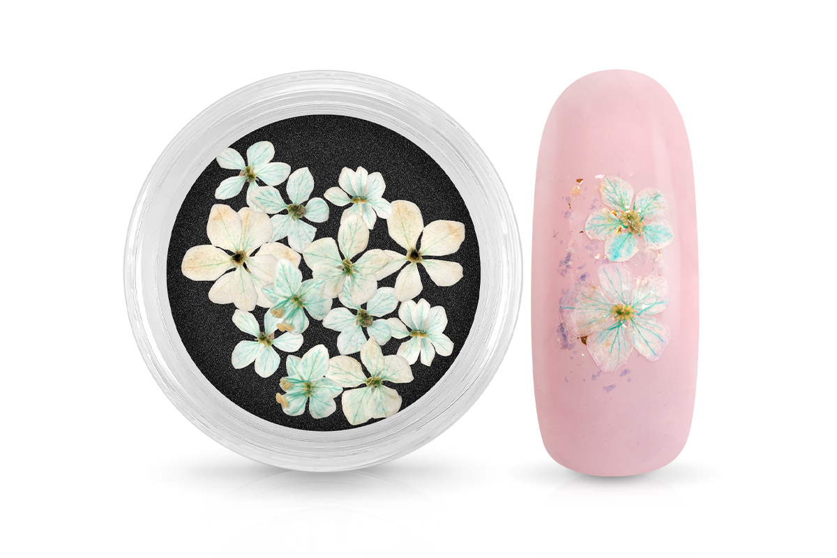 Jolifin Dried Flowers - small flowers turquoise